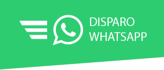 Disparo WhatsApp
